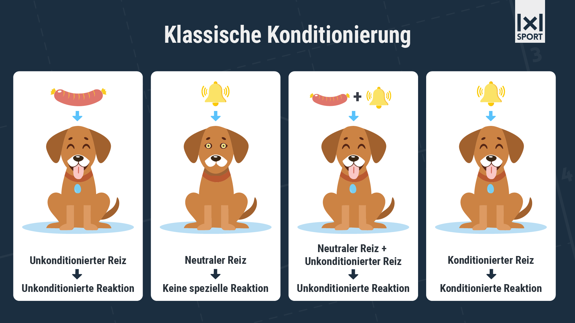 Klassische Konditionierung
