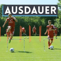 Ausdauer - Online-Kurs