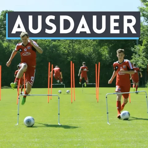 Ausdauer - Online-Kurs Ausdauer - Online-Kurs