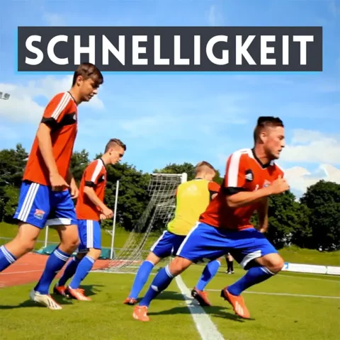 Schnelligkeit - Online-Kurs Schnelligkeit - Online-Kurs