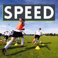 Speed - Online-Kurs