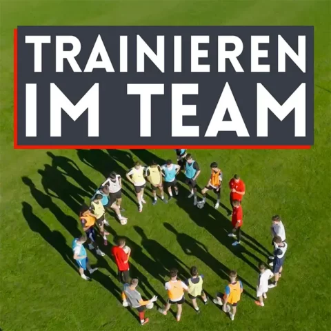 Trainieren im Team - Online-Kurs
